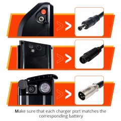 3 ports of 48V 2A Battery Charger 1